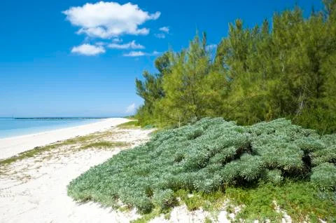 Silver point beach Stock Photos