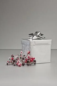 Silver present Stock Photos