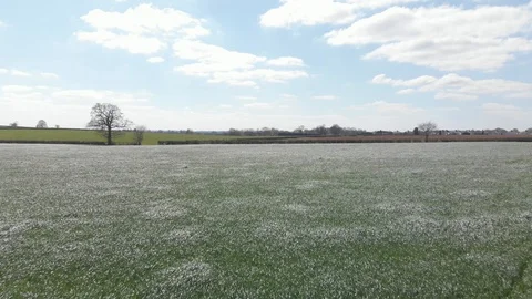 Silver Reflective Spring Grass Field England Midlands Aerial Landscape 4K Cine D Stock Footage 106387112