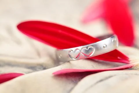 Silver Ring and flower petals. Stock Photos