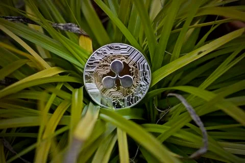 Silver ripple coin Stock Photos