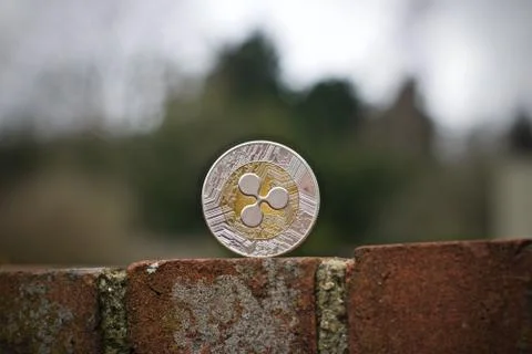 Silver ripple coin Stock Photos