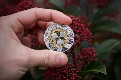 Silver ripple coin Stock Photos
