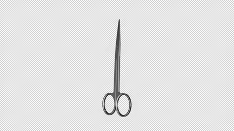 Silver Scissors with Offset Circular Handles Stock Footage 308229167
