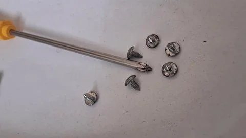 Silver screwdriver tip resting near several small metal construction screws Stock Photos