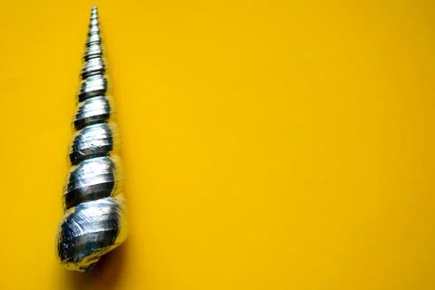 Silver seashell lying on a yellow background Photos