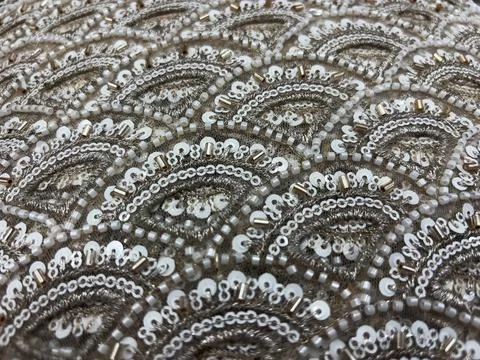 Silver Sequin  scallops and Bead  hand Embroidery on Net Fabric Stock Photos