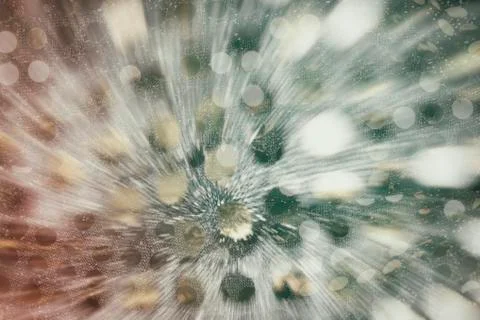 Silver sequins abstract background Stock Photos