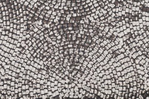 Silver sequins Stock Photos