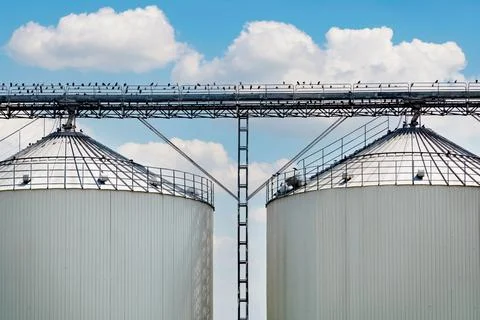 Silver silos on manufacturing plant for processing drying cleaning and storag Stockfoto's