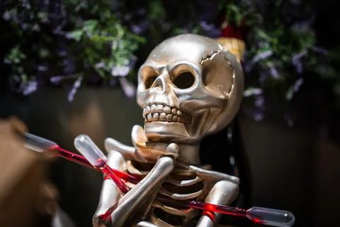 Silver skeleton prop with red droppers threaded through ribcage Foto stock