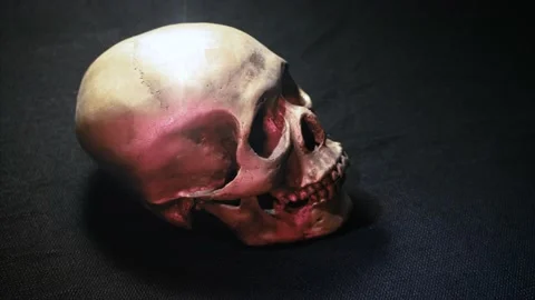 Silver Skull Stock Footage 176669206