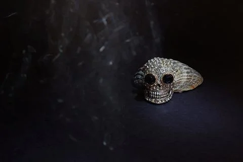 Silver skull pattern and sea shell on a black background. Stock Photos