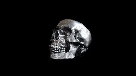 Silver Skull Profile Stop Motion Loop Stock Footage 122334903
