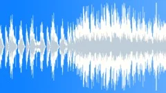 Silver Spaceship L1Stock Music