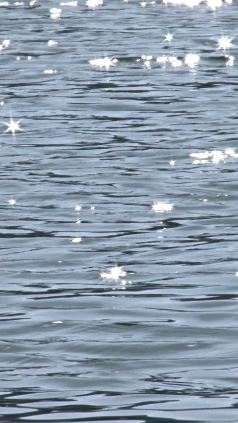 Silver Sparkles on Calm Water Surface Vertical Video 動画素材 346068171
