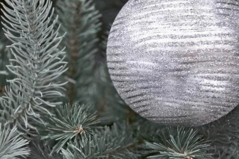 Silver sphere on a New Year tree Stock Photos