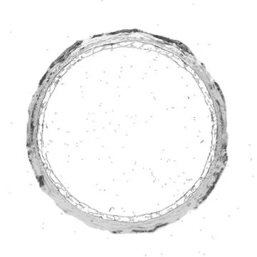 Silver splash radial 3d rendering 3d illustration Stock Illustration