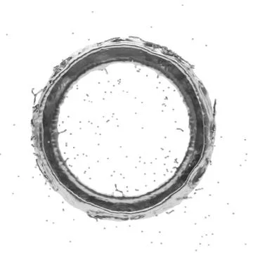 Silver splash radial 3d rendering 3d illustration Stock Illustration