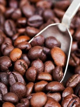 Silver spoon scoops roasted coffee beans Stock Photos