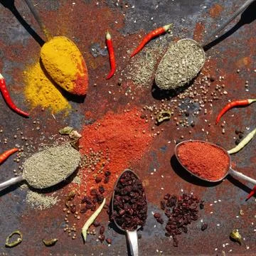 Silver spoon with various spices Stock Photos