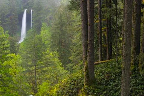 Silver state park with waterfall in background 스톡 사진