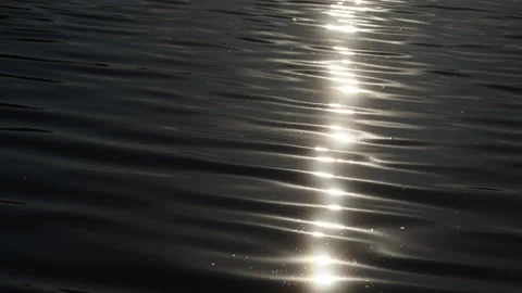 Silver sun glitter sparkling on dark rippling lake surface, slow motion Stock Footage 338237856