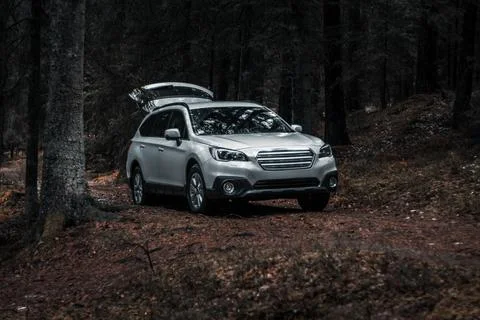 Silver SUV Parked on Dirt Path Amid Tall Forest Trees Stock Photos