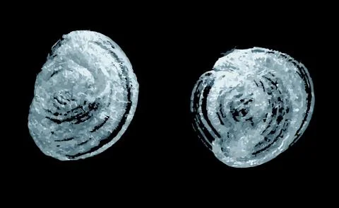 Silver texture in the form of circles Stock Illustration