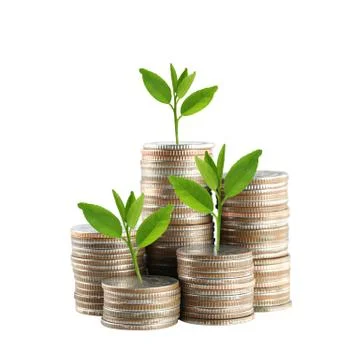 Silver Thailand coins stack isolated and green treetop. 库存照片