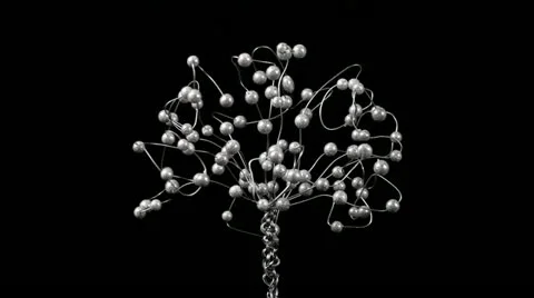 Silver tree Stock Footage 21149628