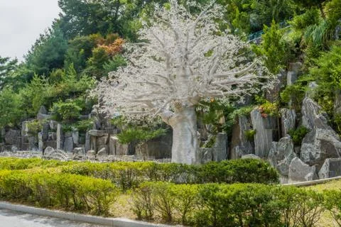Silver tree in a public park Stock Photos