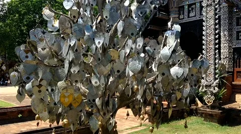 Silver tree in Thai temple. Chiang Mai. March 2015 Video stock 51203069