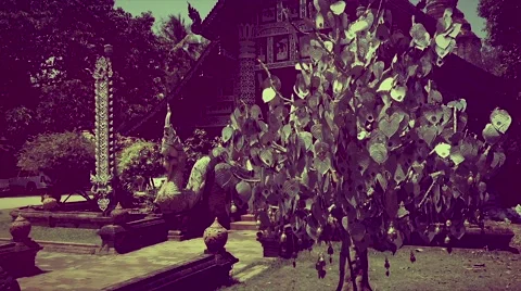 Silver tree in Thai temple. Retro look, Chiang Mai, March 2015 Stock Footage 51254276