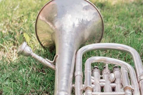 Silver trombone on th grass Stock Photos