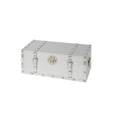 Silver trunk box isolated on white background Stock Photos