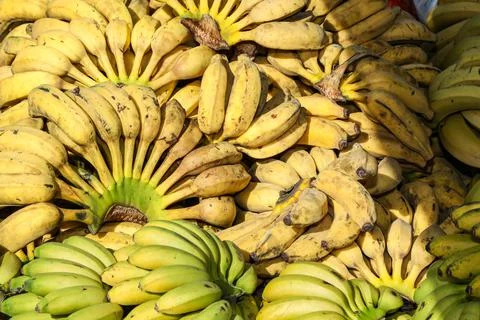 Silver-type organic banana stack highlighted Stock Photos