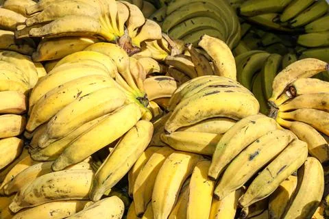 Silver-type organic banana stack highlighted Stock Photos