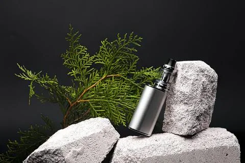 Silver vape device resting on rocks with green branch Stock Photos