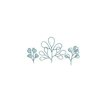 Silverdollar eucalyptus cute illustration Stock Illustration