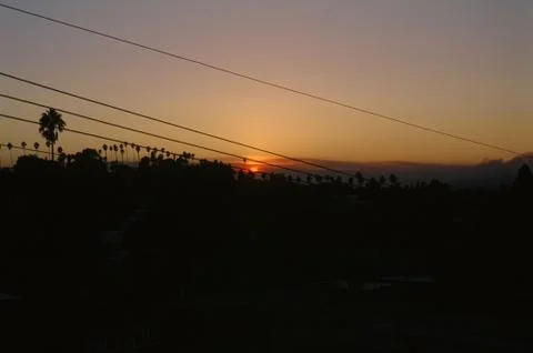 Silverlake Trees Stock Photos