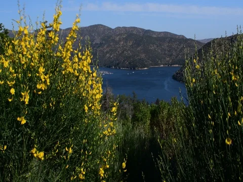 Silverwood lake California Stock Footage 75813367