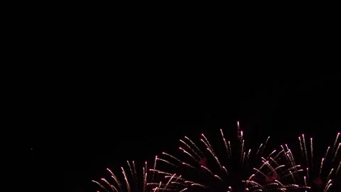 Silvery and red-lilac firework flowers against a black night sky Stock Footage 247663997