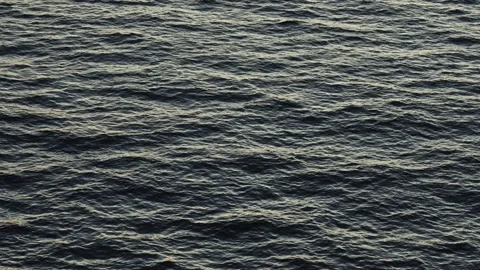 Silvery Blue Sea Surface with Subtle Sunlight Reflections Stock Footage 309421352