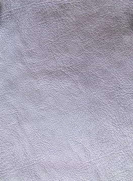 Silvery skin texture. Stock Photos