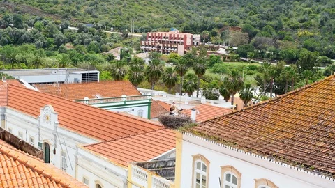 Silves Portugal rooftops with nesting storks Stock Footage 108602173