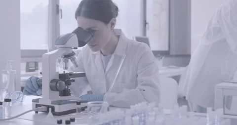 SILVIA ALE CHIMICHE 01 1 Stock Footage 211355443