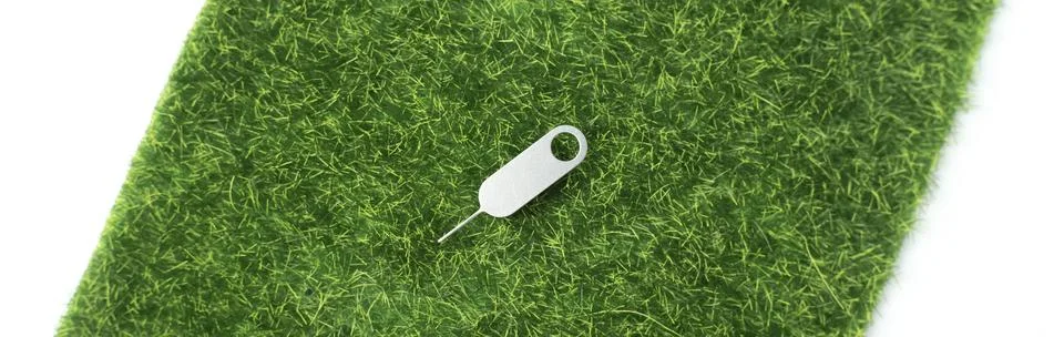 SIM Ejector Tool on Green Grass Background Stock Photos