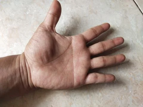Simian hand line Stock Photos