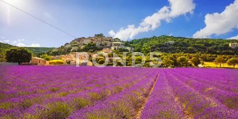 Simiane la Rotonde village and lavender panorama. Provence, France Stock Photos